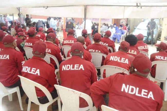 NDLEA Recruitment 2025/2026 | How to Apply/https://legacycareers.com.ng/